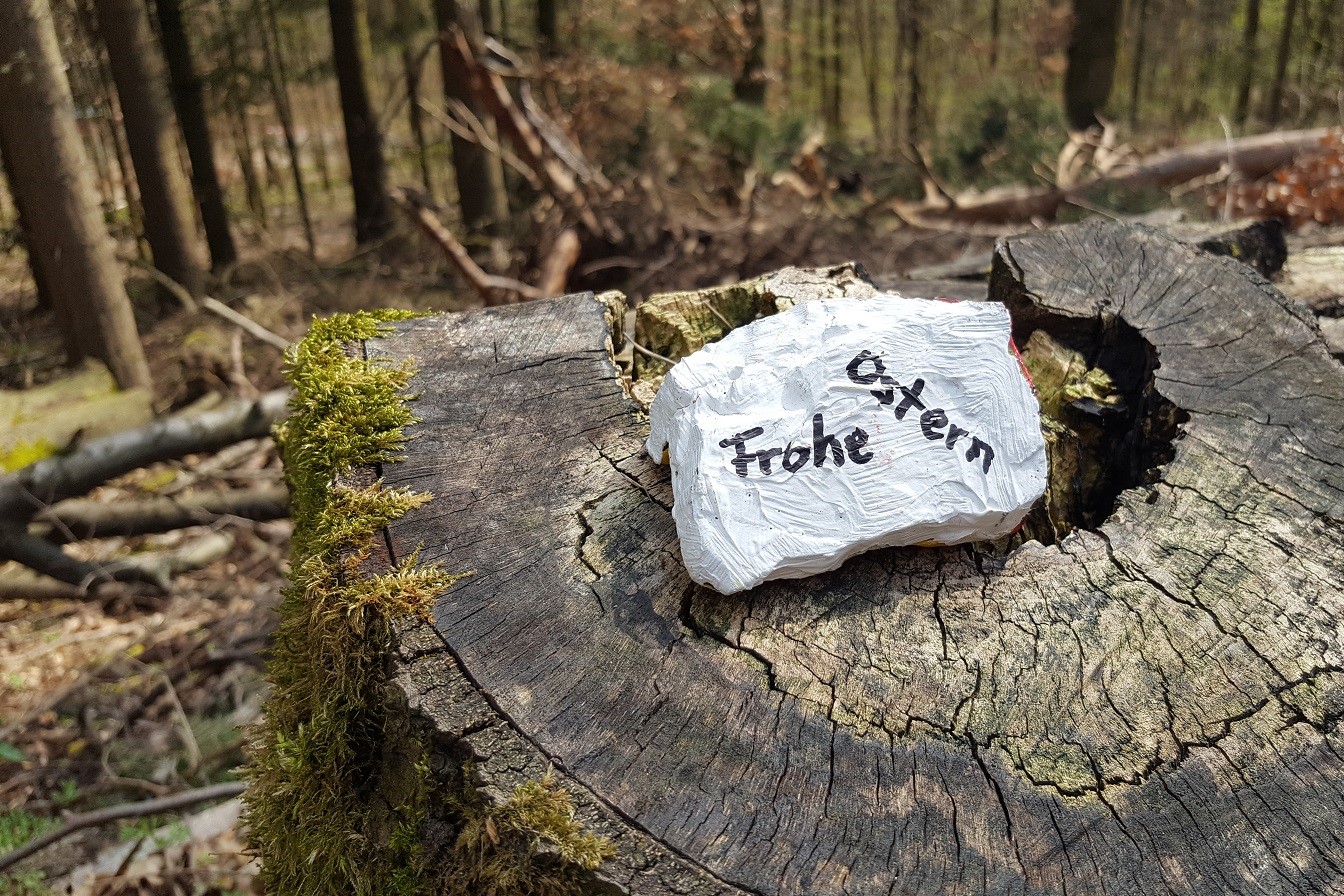 Gekreuzigt, gestorben, begraben…aber auferstanden!