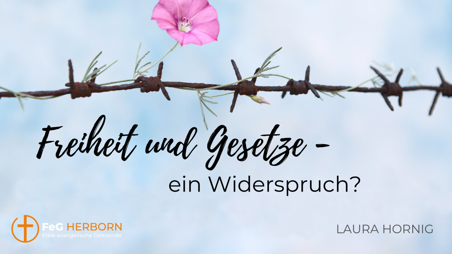 Freiheit und Gesetze – ein Widerspruch?