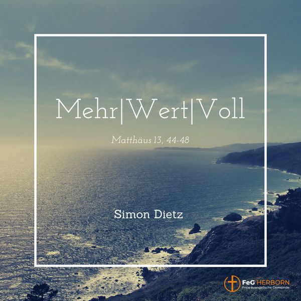 Mehr|Wert|Voll