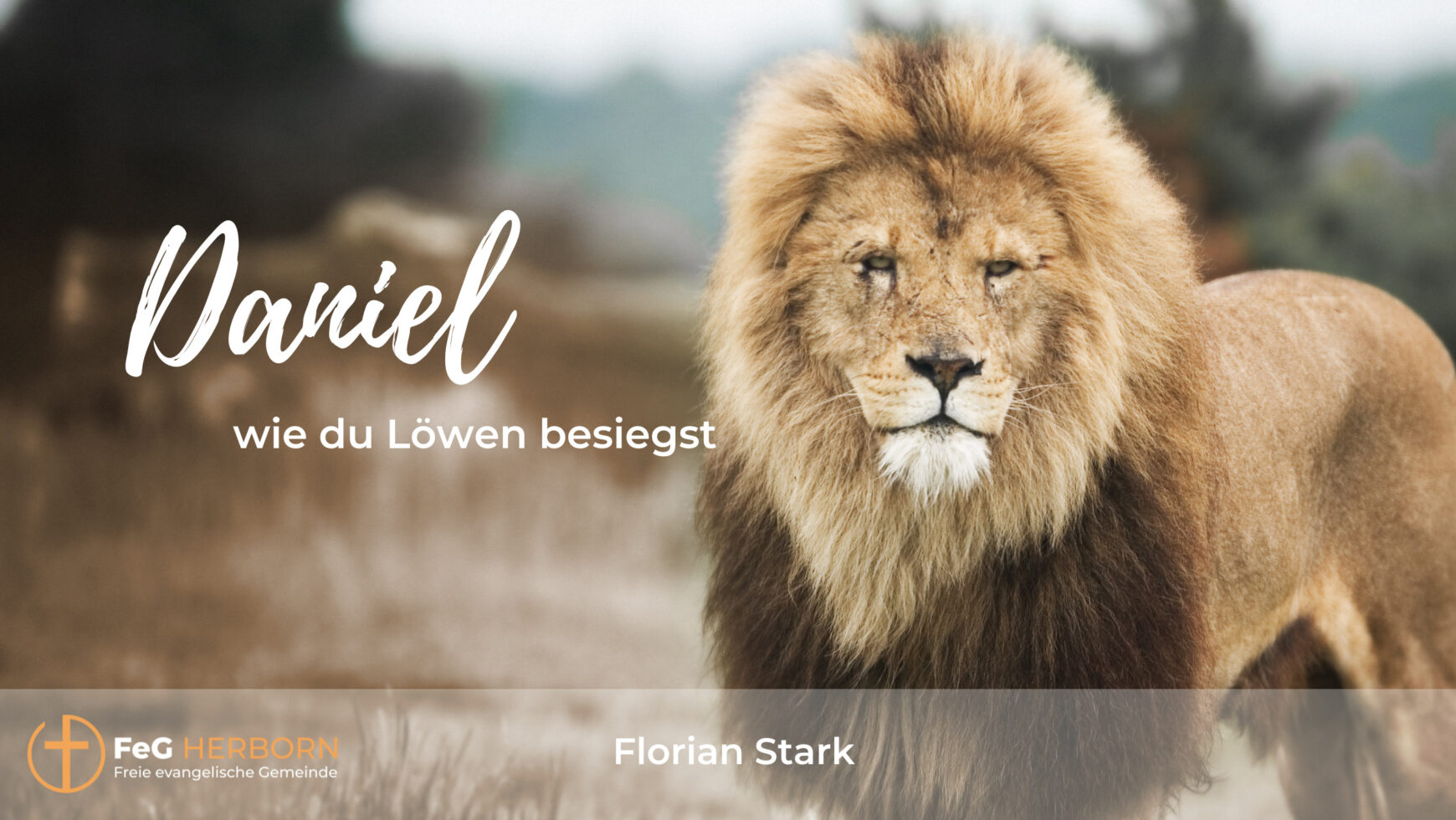 Daniel – wie Du Löwen besiegst