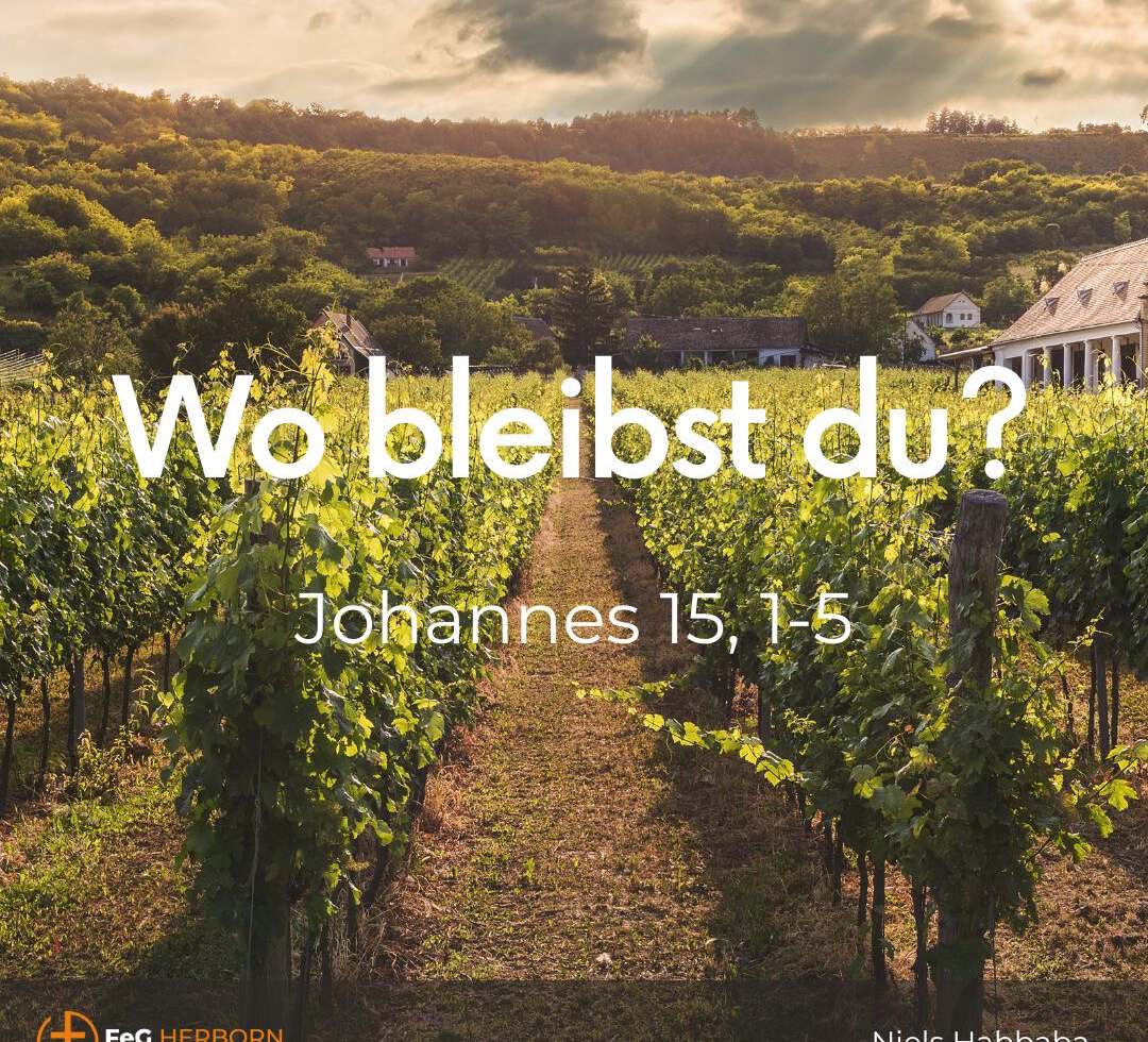 Wo bleibst du?