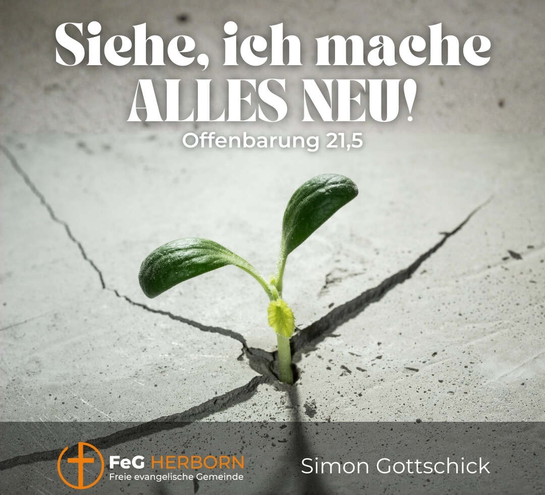 Siehe, ich mache ALLES NEU! (Offenbarung 21, 5)
