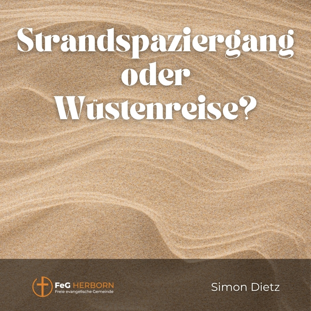 Strandspaziergang oder Wüstenreise (2. Mose 12-14)