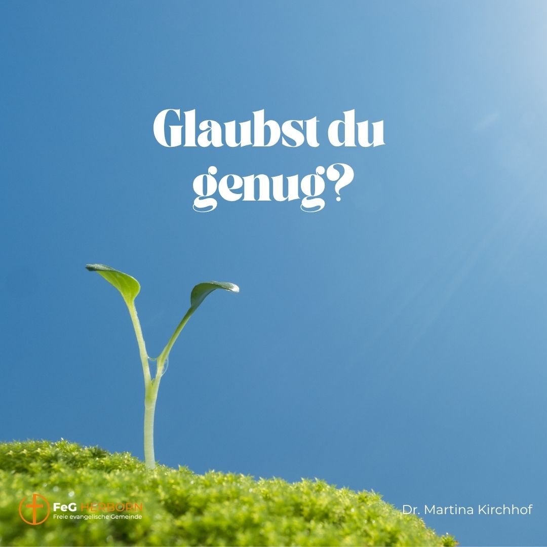 Glaubst du genug? (Markus 4, 35-41)
